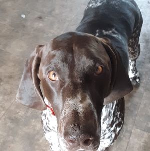 Meet your Posher, Susie